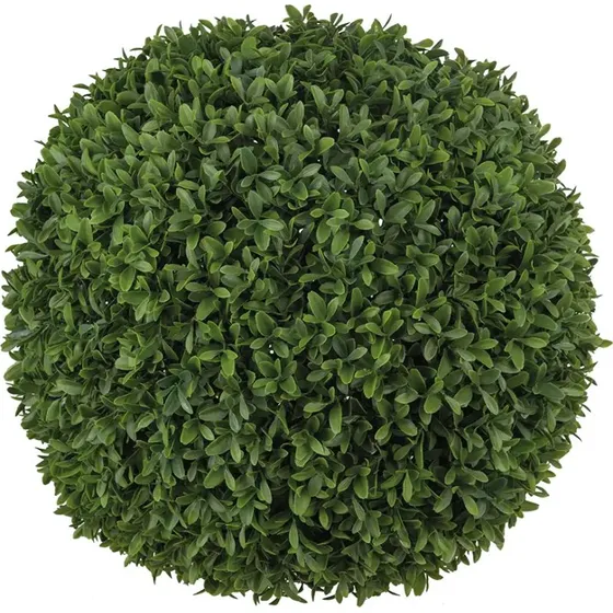 Mr Plant Buchsbaum Kugel Grün, 60 cm