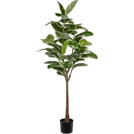 Mr Plant Gummibaum Ficus Elastica 190 cm - Künstliche Pflanze