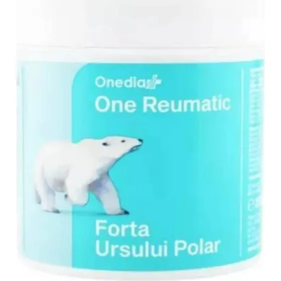 Onedia Eisbär Stärke Balsam Ein Rheumatiker, 250 ml