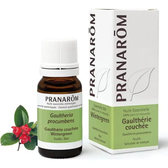 Pranarôm Ätherisches Öl Wintergrün (Gaultheria procumbens) 10ml