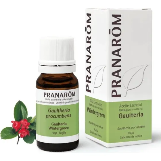 Pranarom Wintergrün Ätherisches Öl 10 ml (Gaultheria Procumbens)