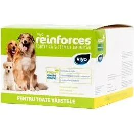 VIYO STÄRKT Nahrungsergänzung für Hunde (30 x 30ml)