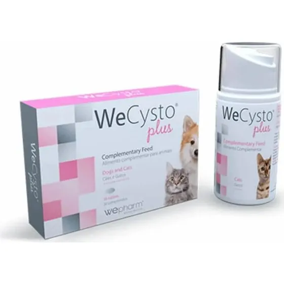 WePharm WeCysto Plus Nahrungsergänzungsmittel, 50 ml Tube