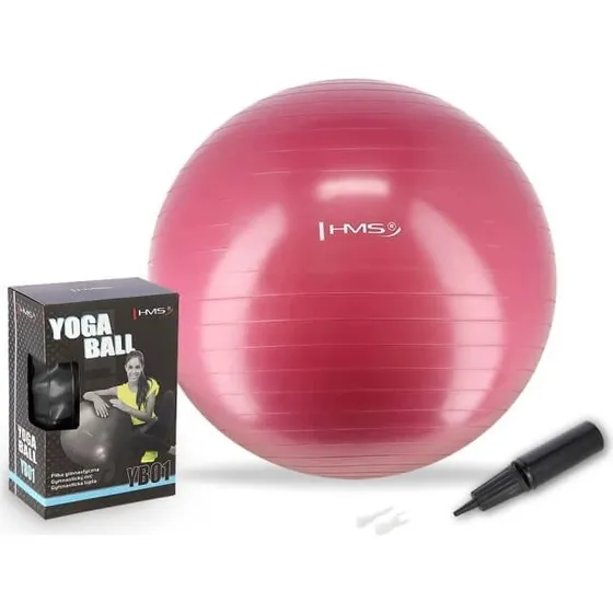 HMS Gymnastikball YB01 - Rutschfester Trainingsball für Fitness & Reha
