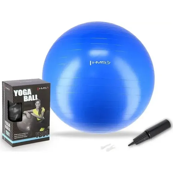 HMS Gymnastikball YB01 - Rutschfest & Vielseitig (55cm, 65cm, 75cm)