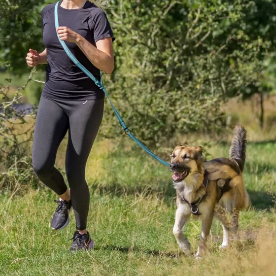 Trixie Joggingleine mit Ruckdämpfer 133-180 cm