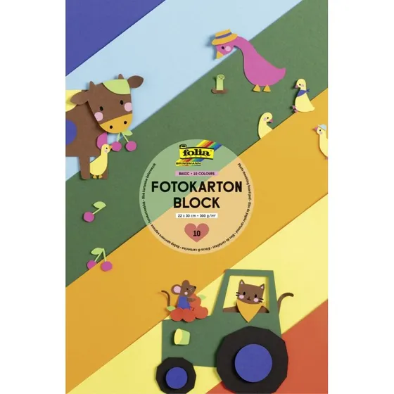 folia Fotokartonblock, 220 x 330 mm, 300 g/m², 10 Blatt farbig sortiert