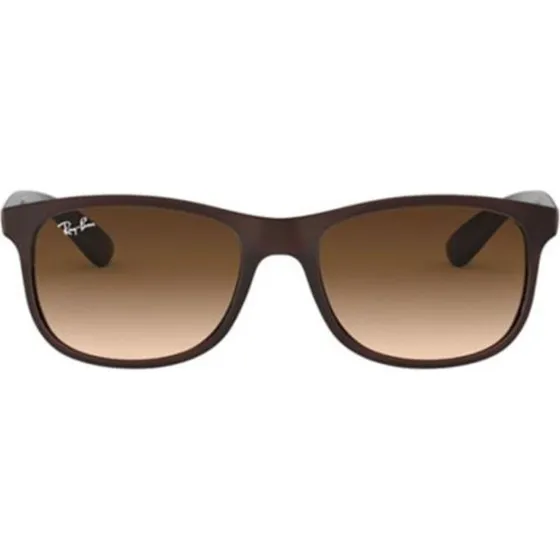 Ray-Ban Andy RB 4202 Sonnenbrille - Braun Matt, 55mm