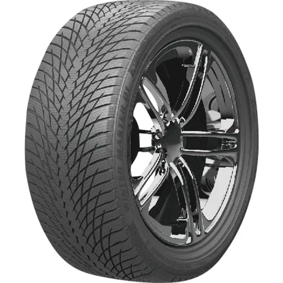 Greentrac Winter Master D1 255/50 ZR19 107V