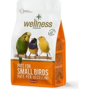 Wellness Pastete Kleine Vögel, 600 g