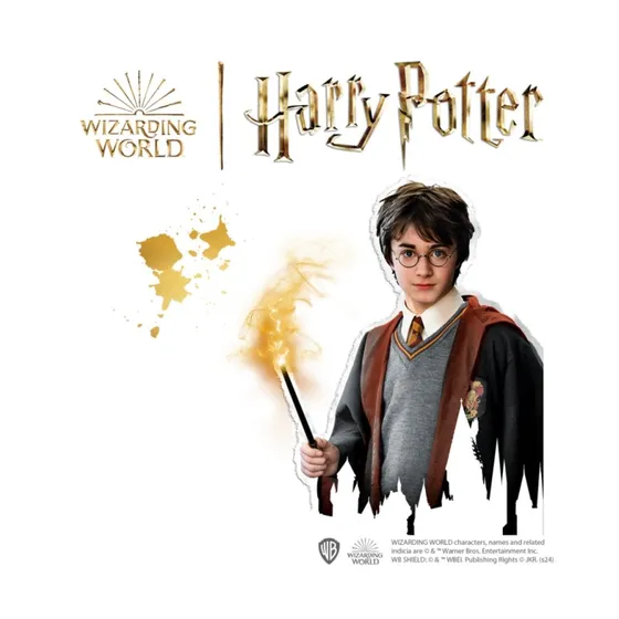 SES Creative Harry Potter Steine zum Bemalen 09341