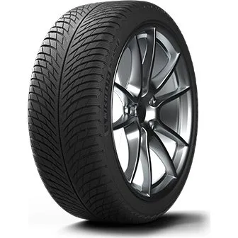 Michelin Pilot Alpin 5 ZP 225/50 R17 98H XL