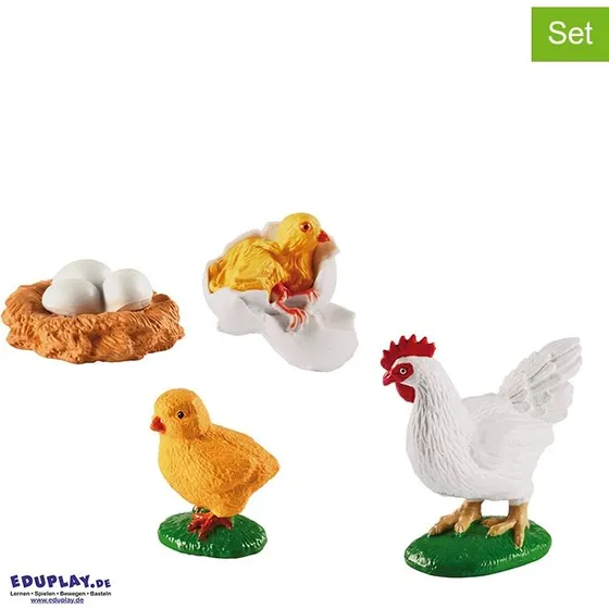 Lebenszyklus - Vom Ei zum Huhn (6 Tierarten wählbar)