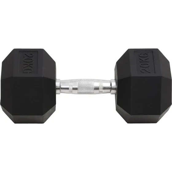 vidaXL Kurzhantel 20 kg Gusseisen, sechseckig