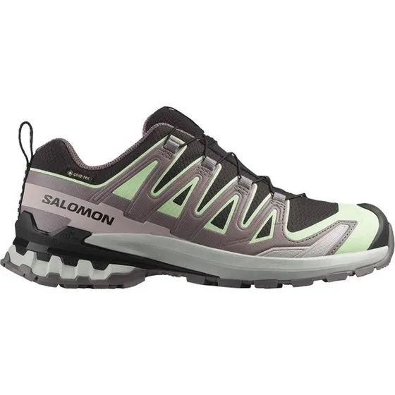 Salomon XA Pro 3D V9 GTX Schuhe schwarz