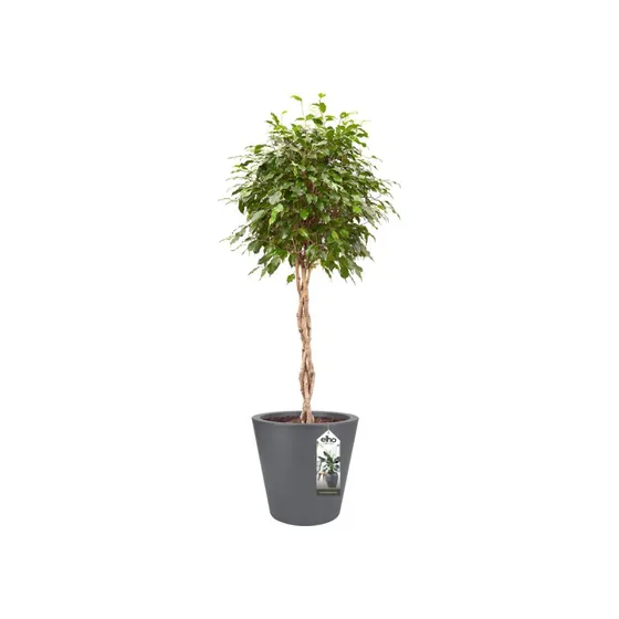 elho Pure Round 65 cm anthrazit