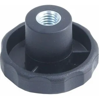 Connex M6 Sterngriffmutter verzinkt