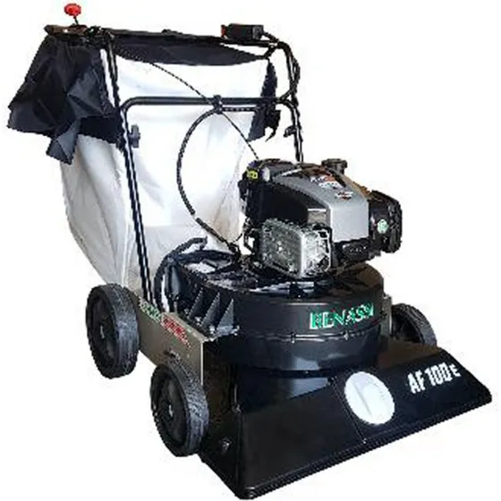Benassi AF 100 Laubsauger 163 cc B&S 675 EXi