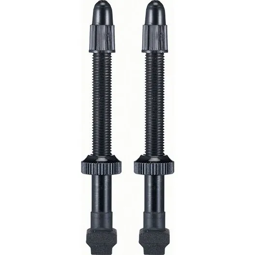 GIANT Tubeless Ventil Set 42