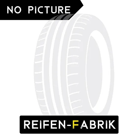 Aptany RA301 205/55 R16 91V Sommerreifen