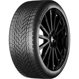 Dunlop Winter 195/65 R15 95T BLK XL EVR