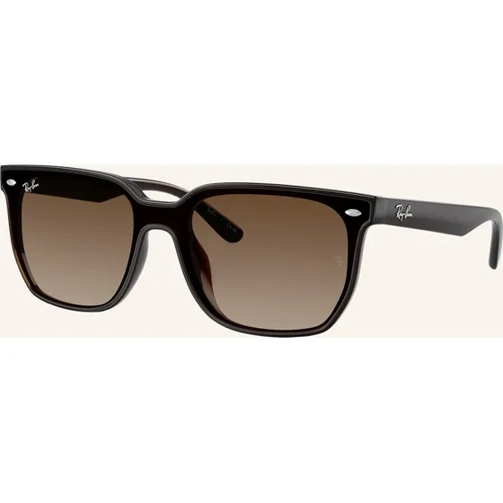 Ray-Ban RB4466D 714/13 Dunkelbraun Transparent