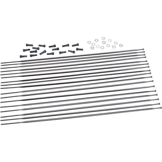 Mavic Cosmic Pro Carbon Exalith Speiche Hinterrad links 301 mm