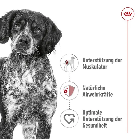 Royal Canin Medium Adult 25 10 kg