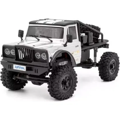 HOBBYTECH CRX18 Flat Cage 4x4 RTR Truck Silber