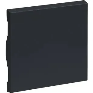 Legrand 765406 SEANO Wippe anthrazit lackiert