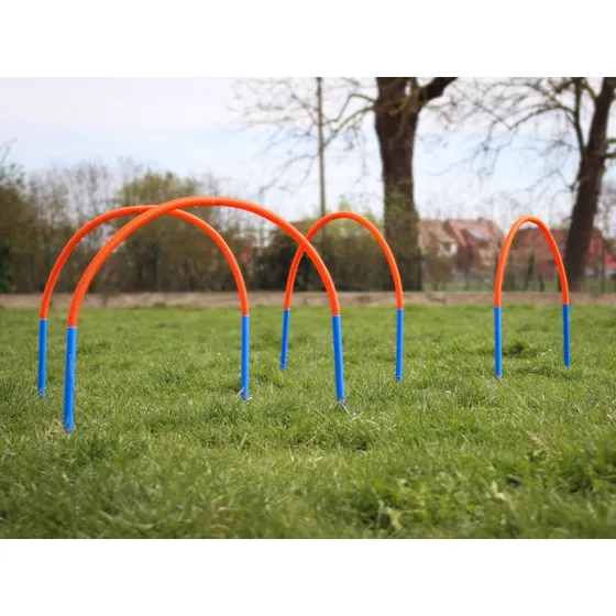 PROCYON Hoopers Bogen Set aus Kunststoff mit Erdspießen