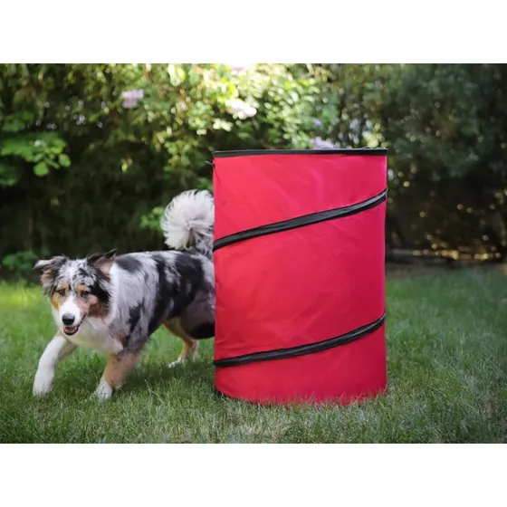 Hoopers Tonne Rot mit Schwarz, gelenkschonend für Hundesport
