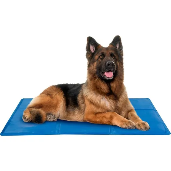 CoolPet XL Kühlmatt 80x60 cm Gelkissen Blau