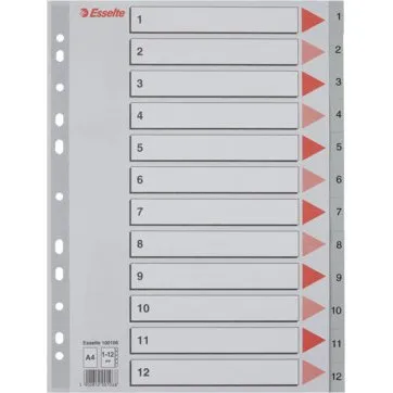 Esselte Register PP A4 1-12 grau