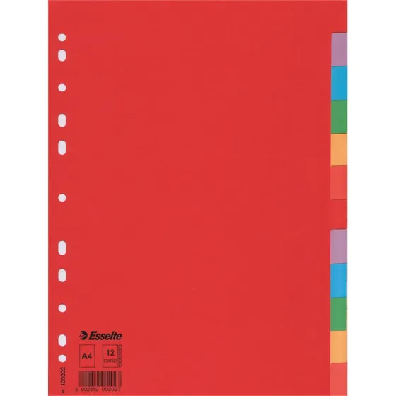 Esselte Ordnerregister Economy A4 12-teilig blanko mehrfarbig