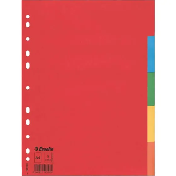 Esselte Register Economy A4 farbig 5 Blatt