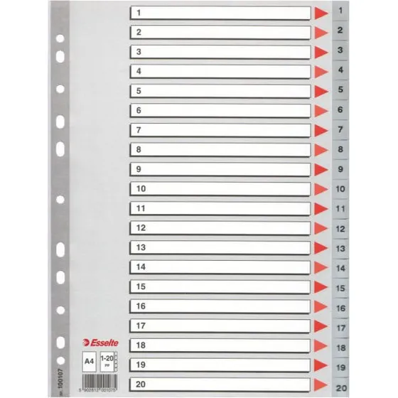 Esselte Register PP A4 1-20 grau