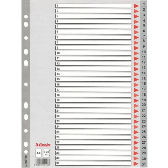 Esselte Kunststoff-Register A4 1-31 grau