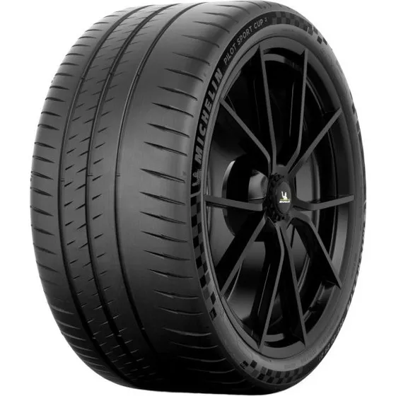 Michelin Pilot Sport Cup 2 315/30 ZR21 105Y XL EV N1