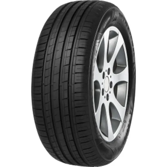 Minerva F209 195/55 R16 91V XL Sommerreifen