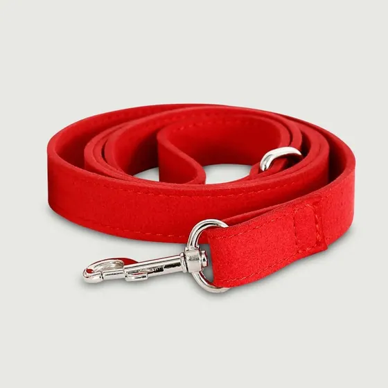 Leine mit Metallclip - Rot