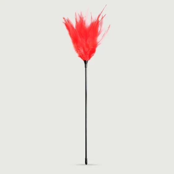 Lange Feder Tease Serie Rote Feder Sensory Teaser - Rot