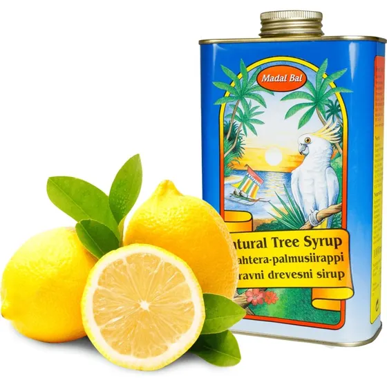 Madal Bal Neera Natürlicher Baumsirup, 500 ml