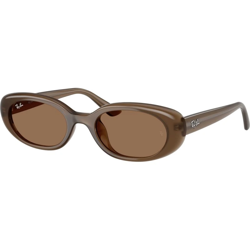 Ray-Ban RB4441D 677973 Braun/Grau