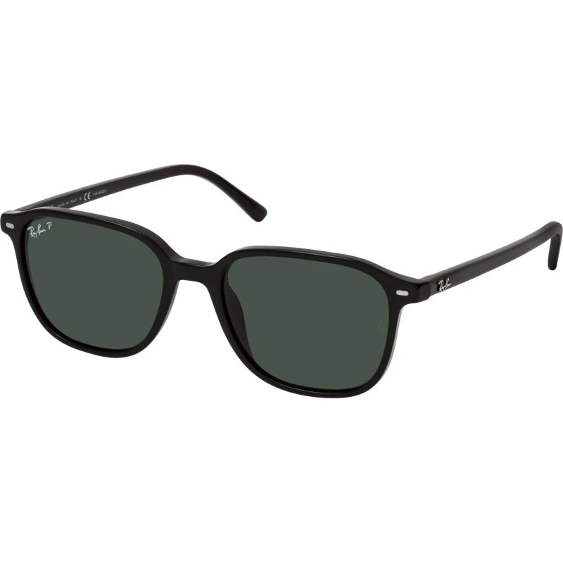 Ray-Ban Leonard RB 2193 901/58 Schwarz mit grünen polarisierten Gläsern