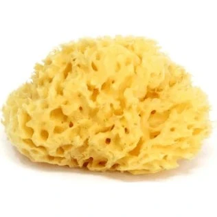 Ok Baby Naturwabenschwamm, Größe 14