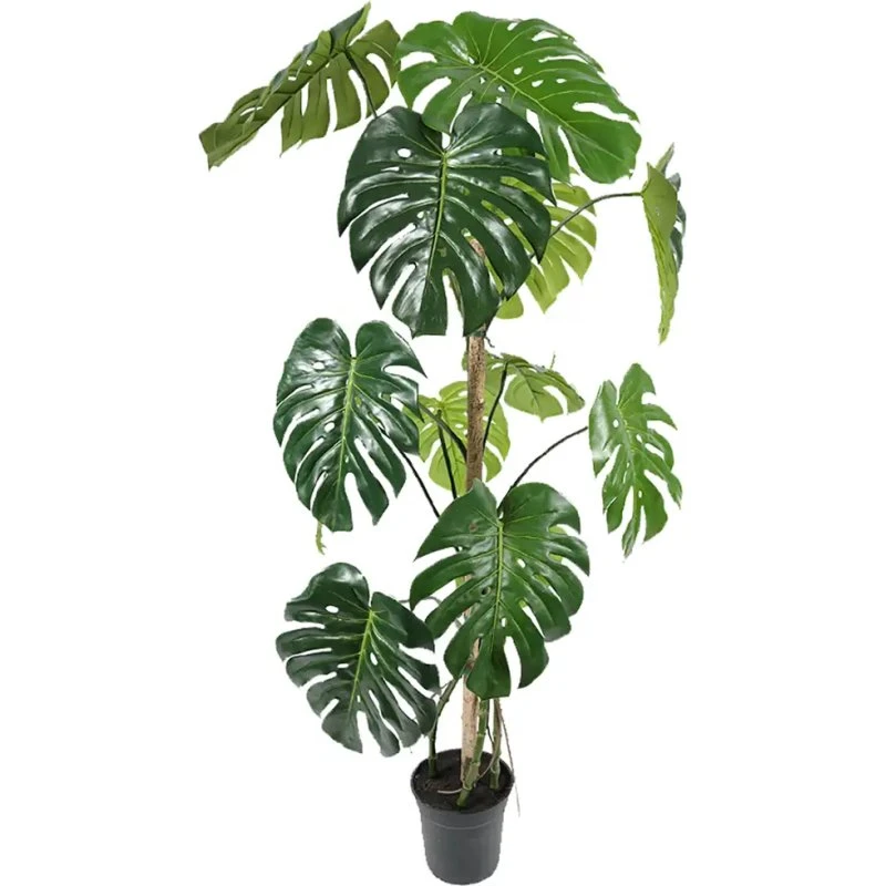 Mr Plant Monstera Kunstpflanze, 150 cm