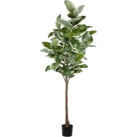 Mr Plant Gummibaum Ficus Elastica Kunstpflanze, 240 cm