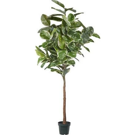 Mr Plant Gummibaum Ficus Elastica, 240 cm künstlich