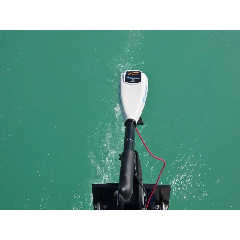 Viamare E-Motor 55 lbs Elektro-Bootsmotor